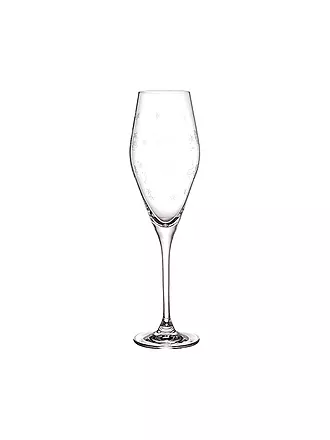 VILLEROY & BOCH | Toy's Delight Sektkelch Set 2tlg. 252mm | 